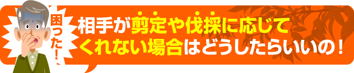 相手が剪定に応じてくれない場合はどうしたらいいの？