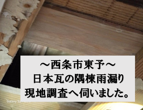 西条市東予で日本瓦の雨漏り点検。隅棟のやり直しで雨漏り特定と修繕のご提案。