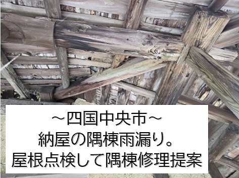 四国中央市。納屋の日本瓦の雨漏り点検。隅棟箇所からの雨漏りで修理のお見積りをします。