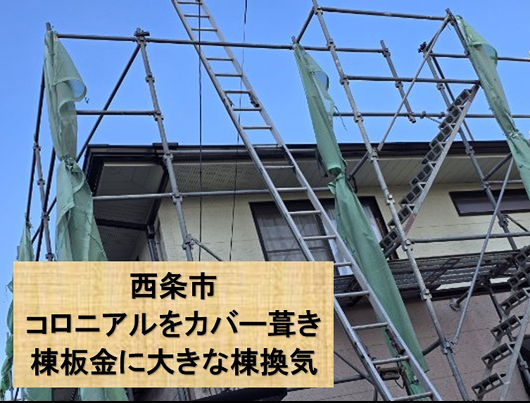 西条市でコロニアルを石粒付き板金へのカバー葺き。既存の棟板金を取り除けを始めます。