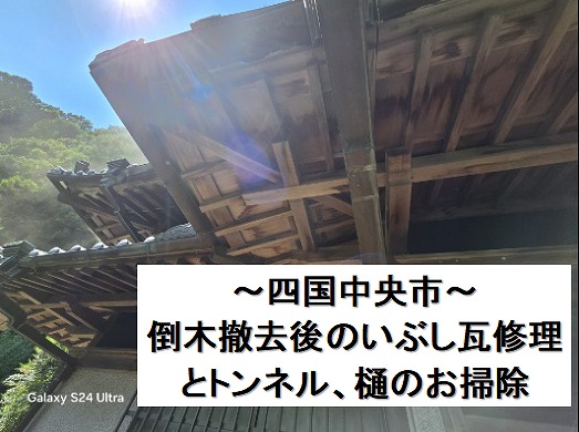 四国中央市で倒木撤去後に瓦修理、長年で詰まったトンネルや樋の掃除も一緒に実施。