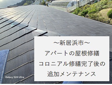 新居浜市、アパートの屋根修理、メイン作業完了後に、釘浮きやひび割れなどの小さな修繕を実施しました。