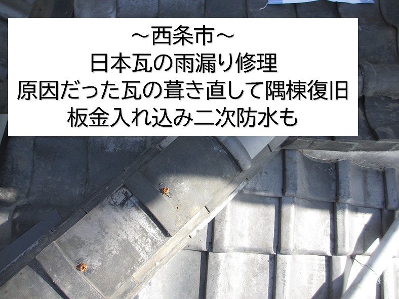 西条市の日本瓦雨漏り現場。場所を特定したので正しい施工で修理して隅棟を復旧し雨漏り解消です。