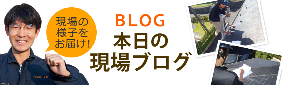 新居浜市、四国中央市、西条市やその周辺エリア、その他地域のブログ