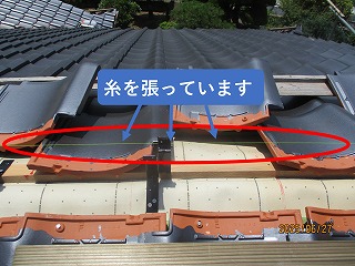 iyo