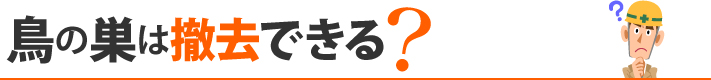 鳥の巣は撤去できる？