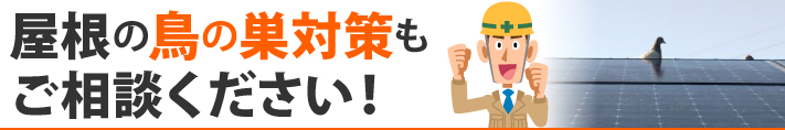 屋根の鳥の巣対策もご相談ください！